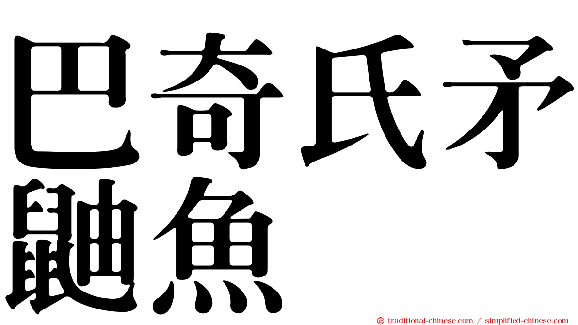 巴奇氏矛鼬魚