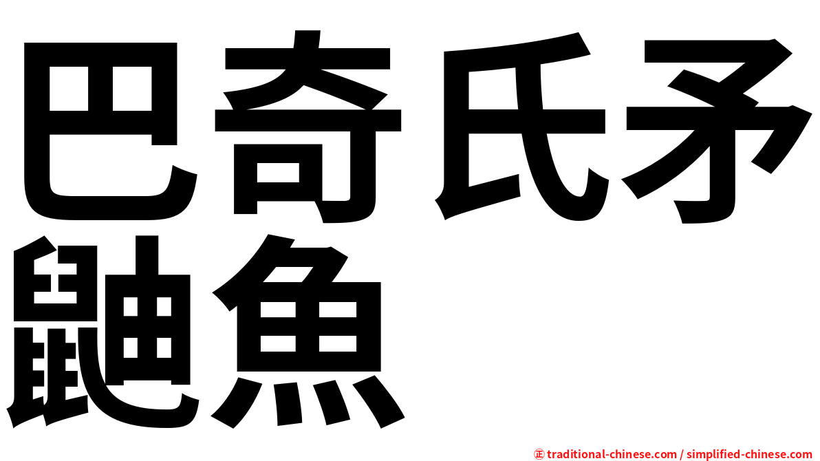 巴奇氏矛鼬魚