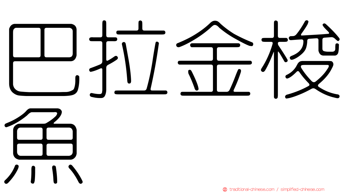 巴拉金梭魚
