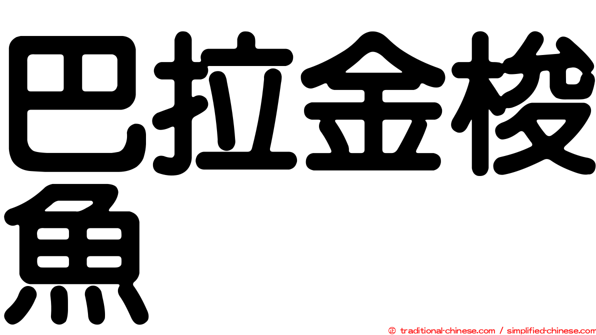 巴拉金梭魚