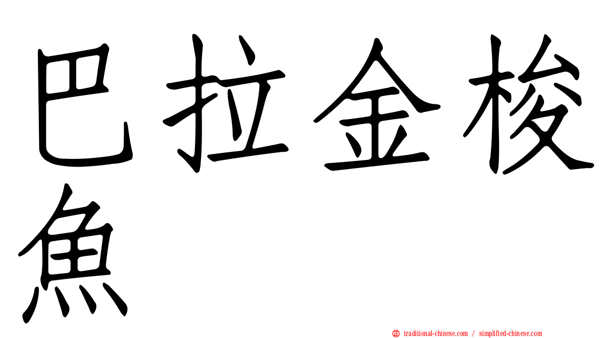 巴拉金梭魚