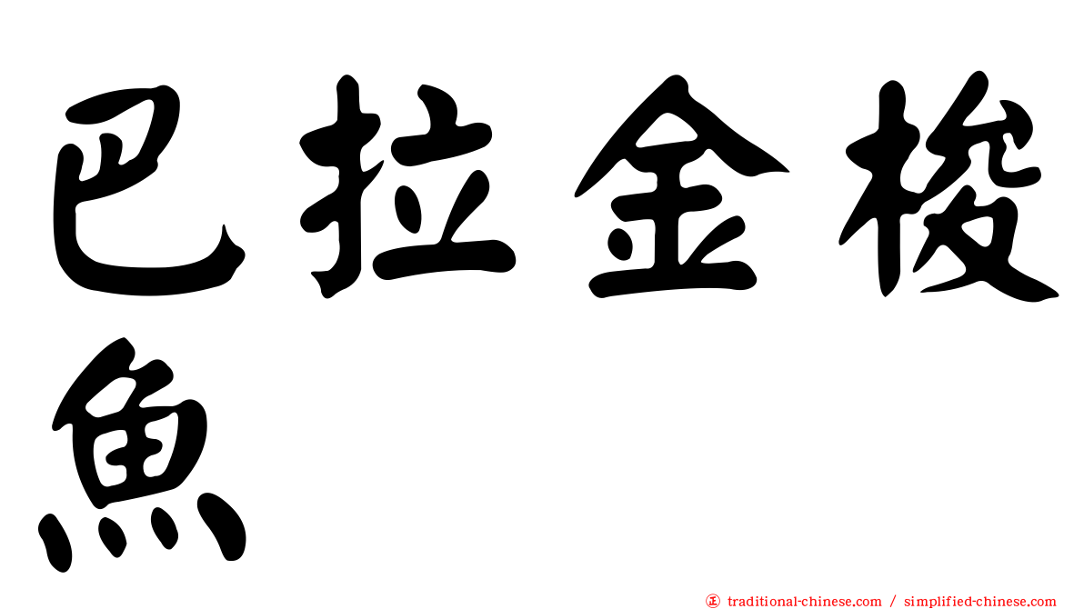 巴拉金梭魚