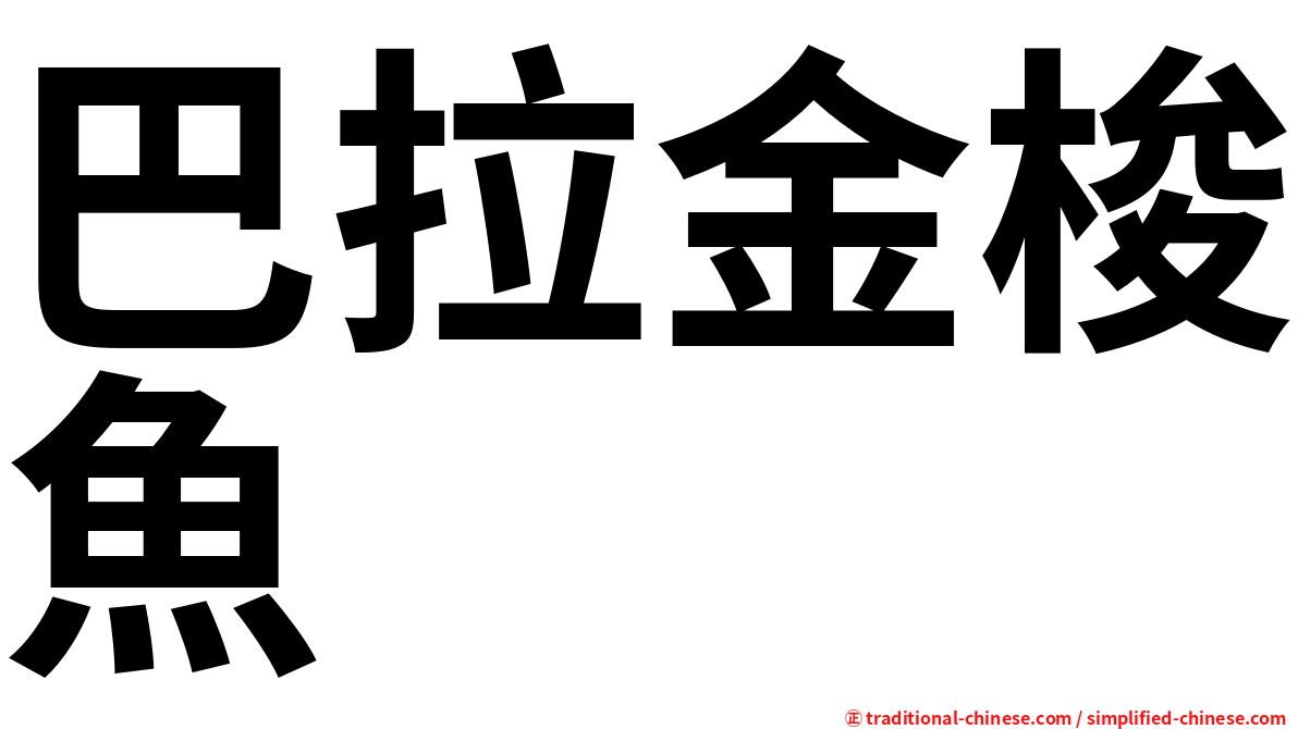 巴拉金梭魚
