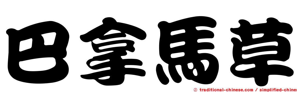 巴拿馬草