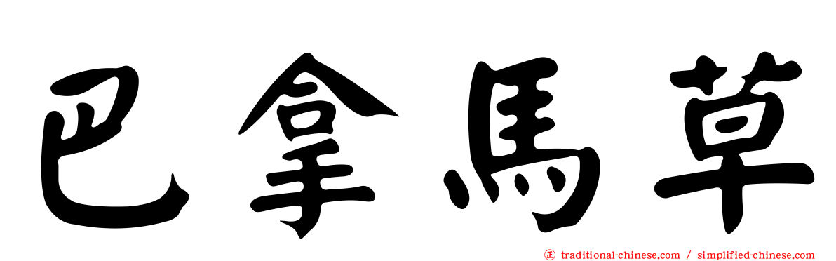 巴拿馬草
