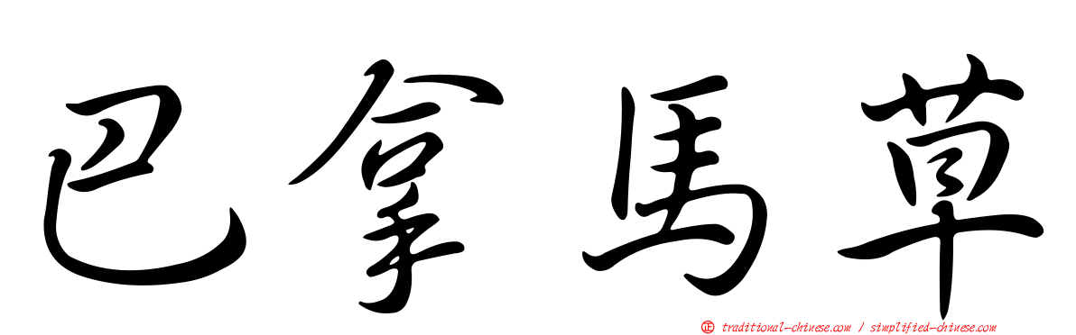 巴拿馬草