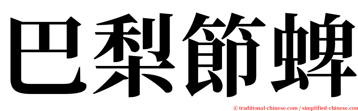 巴梨節蜱 serif font
