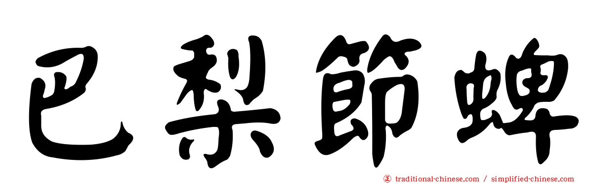巴梨節蜱