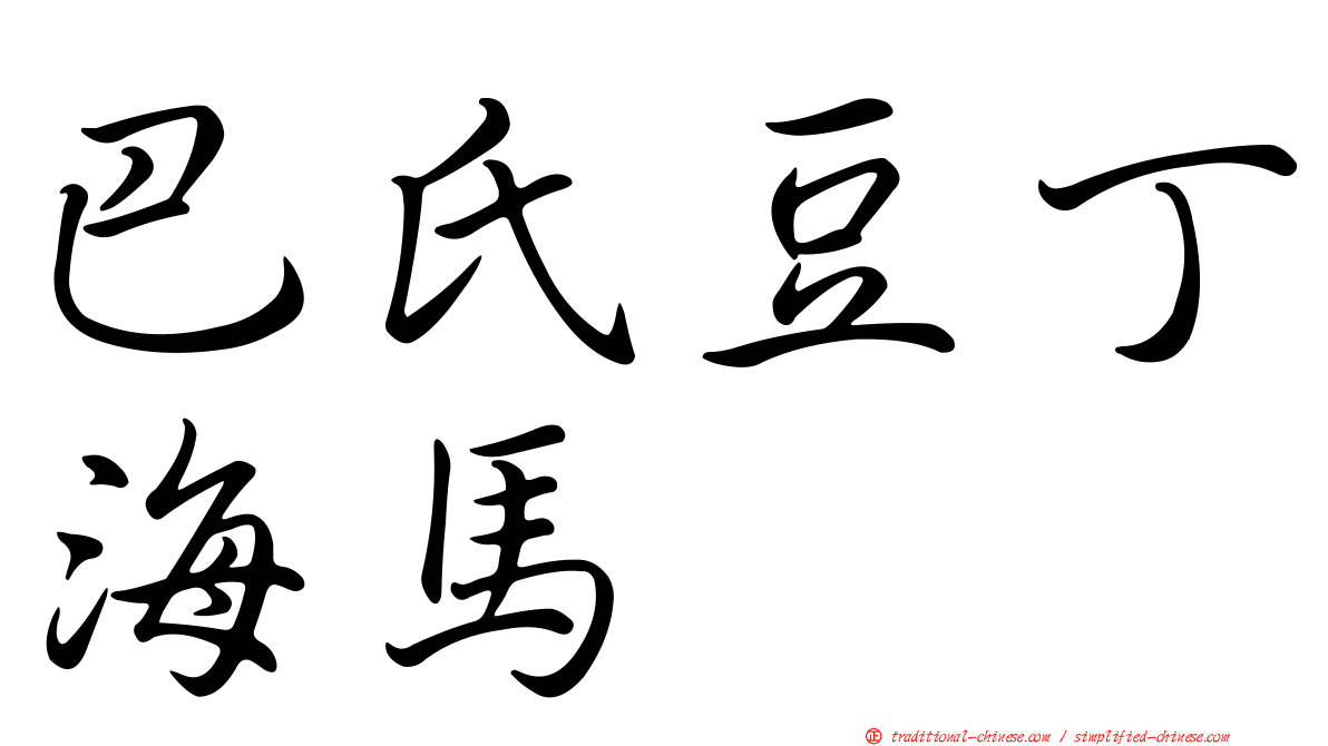 巴氏豆丁海馬