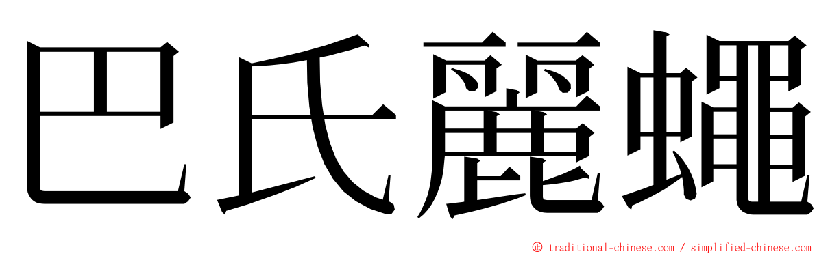 巴氏麗蠅 ming font