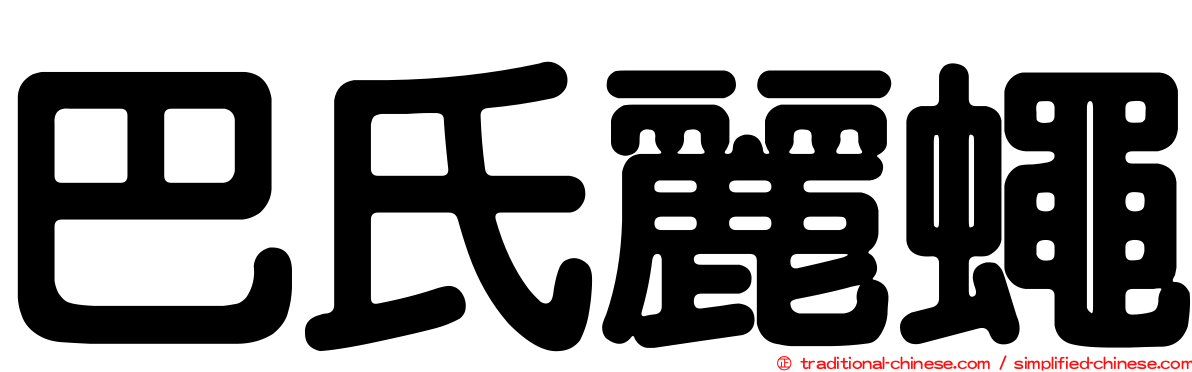 巴氏麗蠅