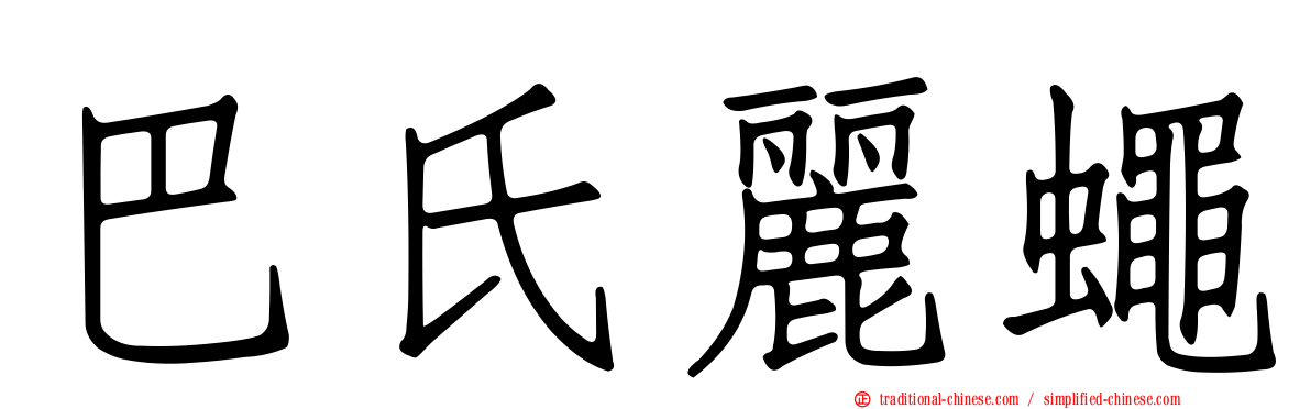 巴氏麗蠅
