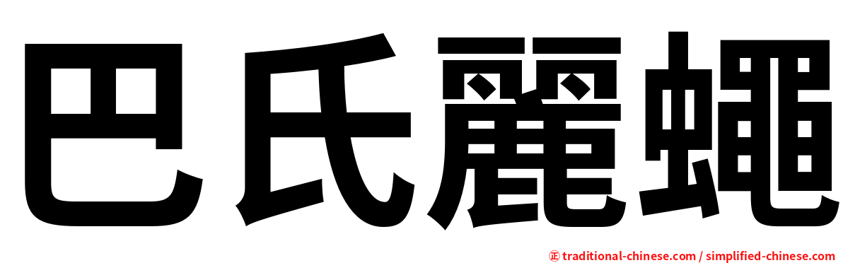 巴氏麗蠅