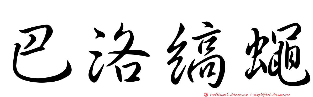 巴洛縞蠅