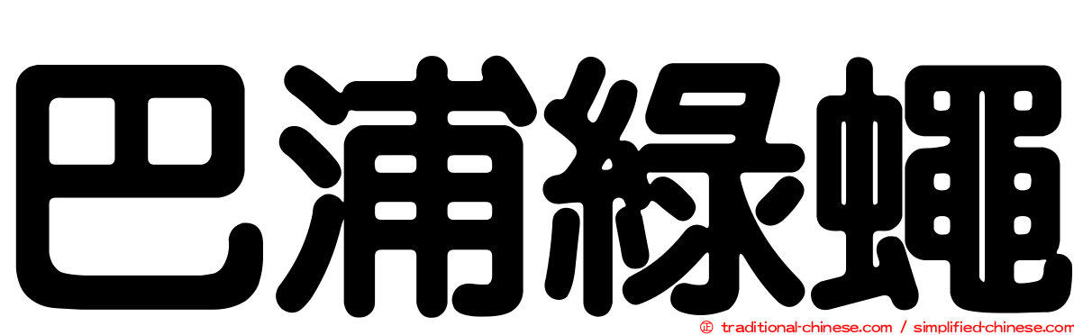 巴浦綠蠅