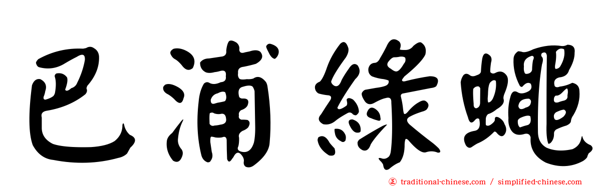 巴浦綠蠅