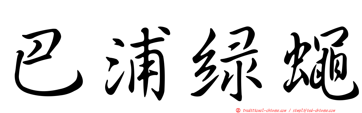 巴浦綠蠅