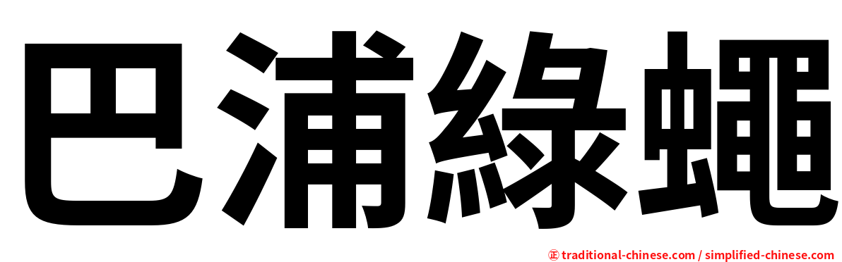 巴浦綠蠅