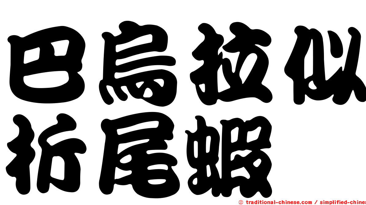巴烏拉似折尾蝦