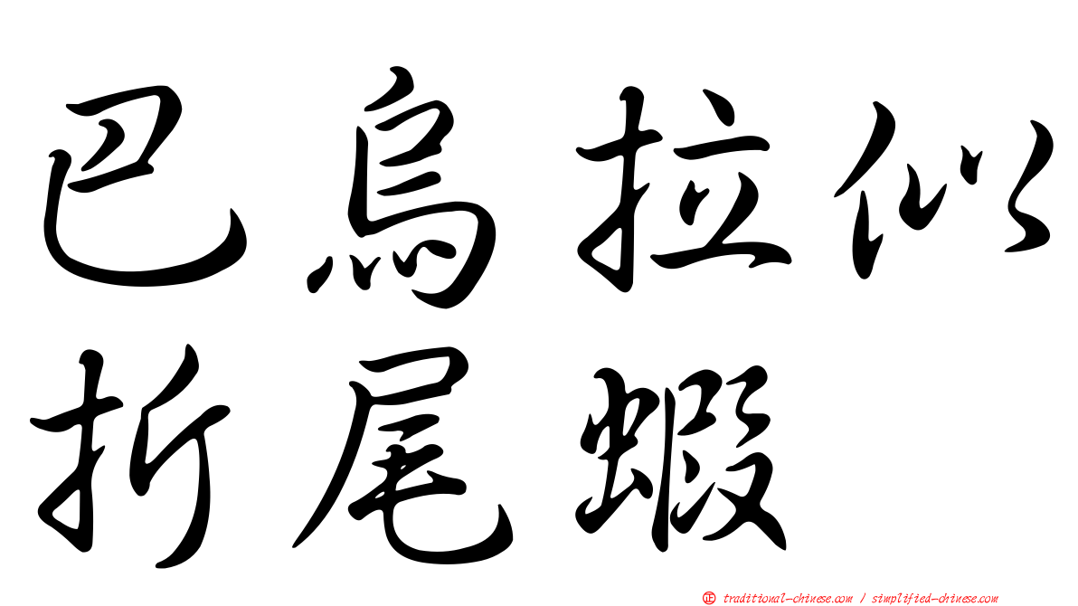 巴烏拉似折尾蝦
