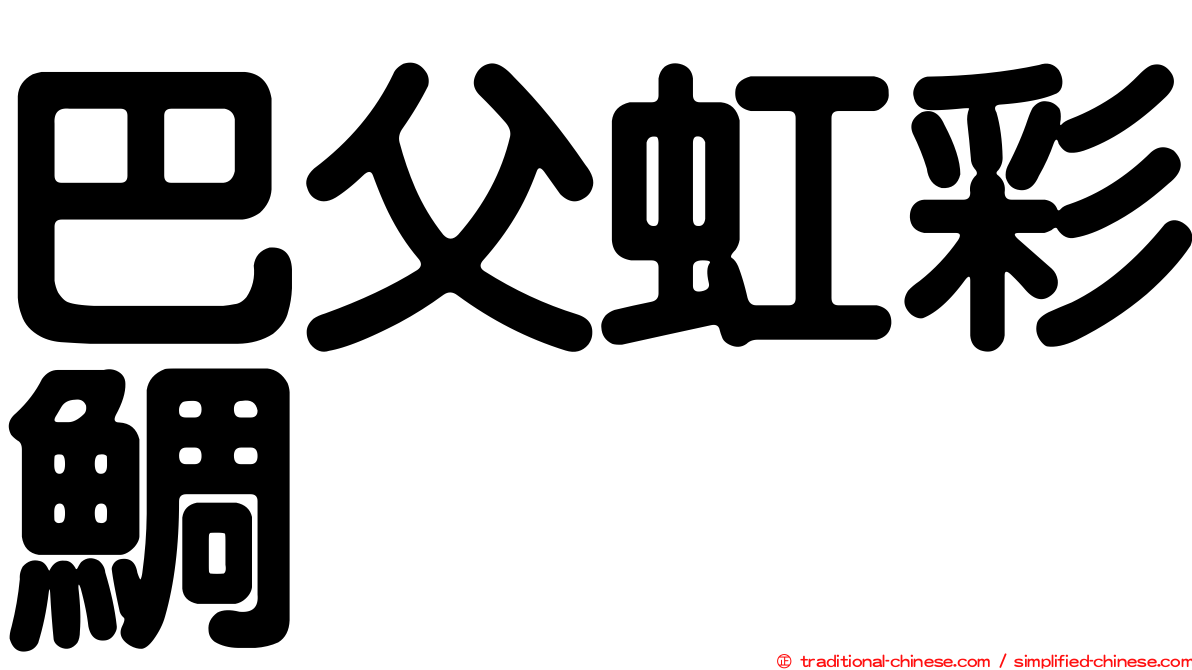 巴父虹彩鯛