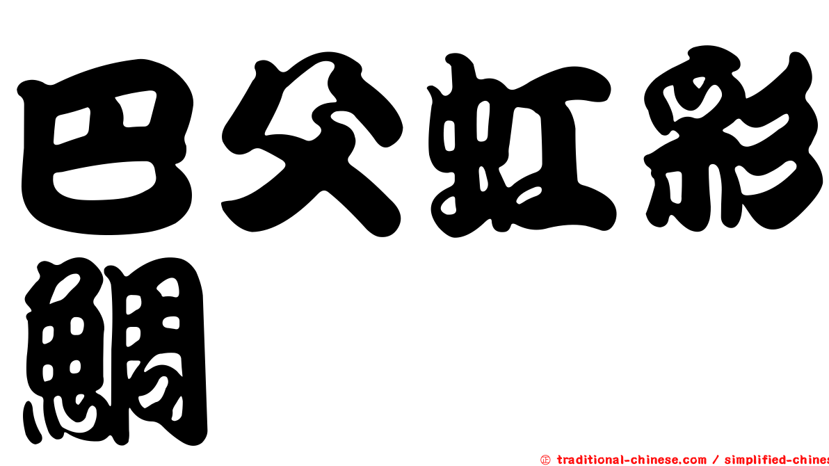 巴父虹彩鯛