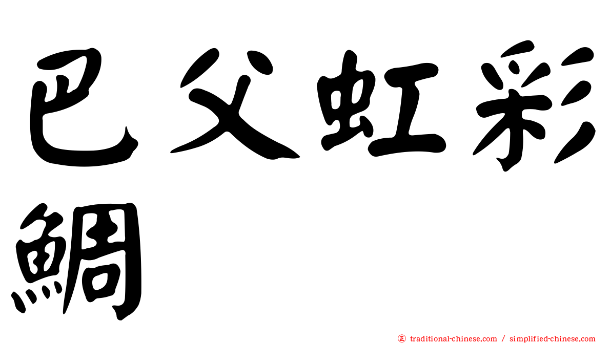 巴父虹彩鯛