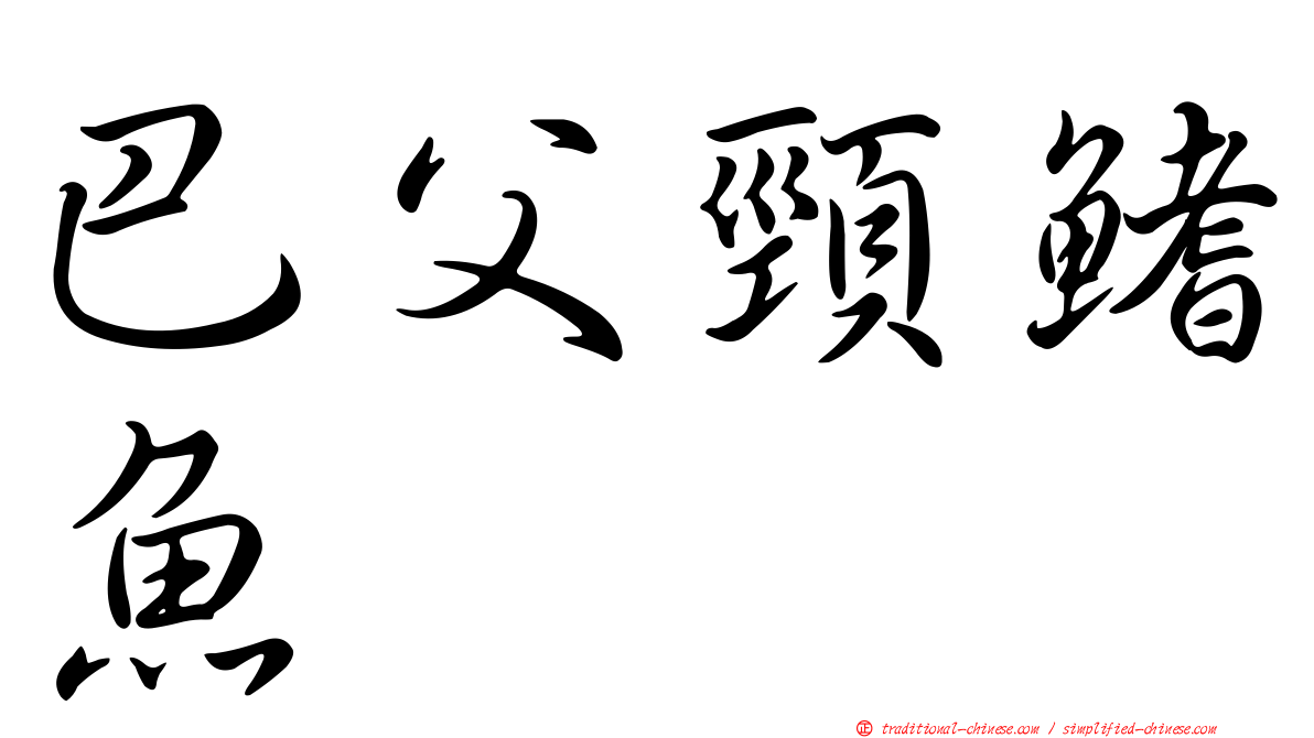巴父頸鰭魚