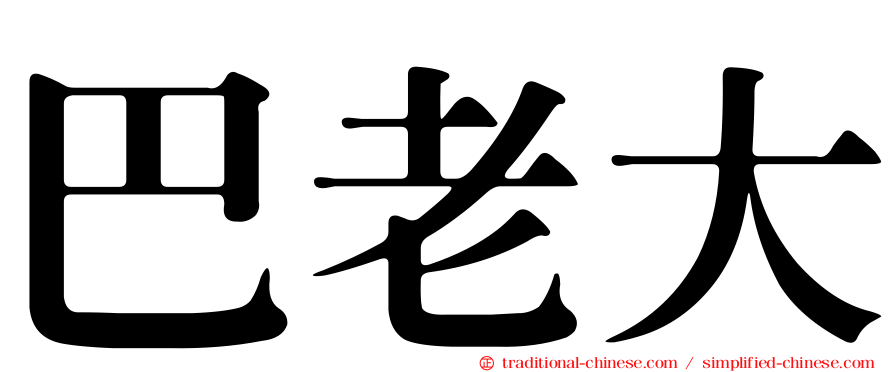 巴老大