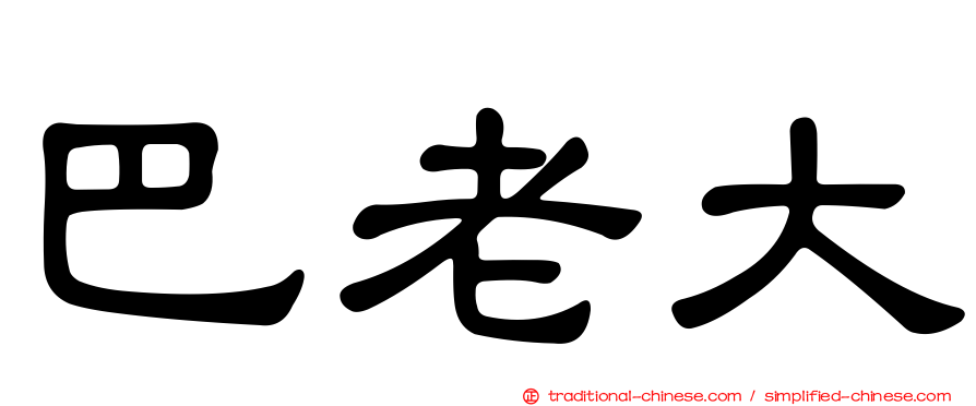 巴老大