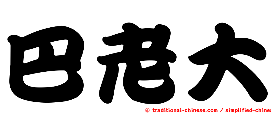巴老大