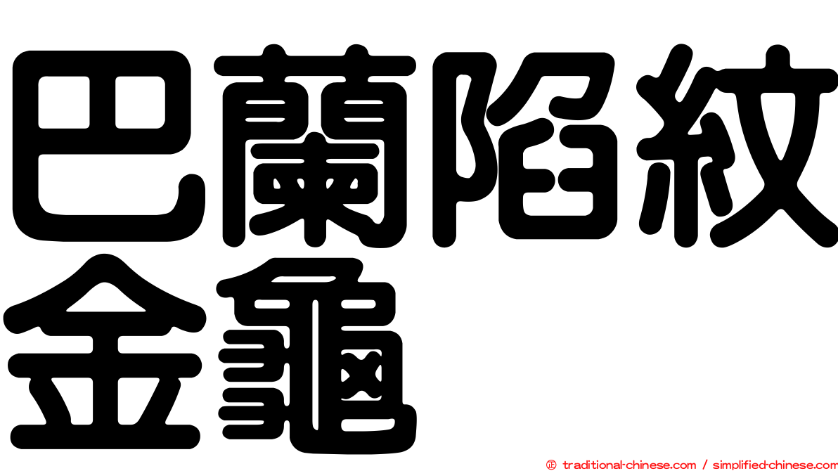 巴蘭陷紋金龜