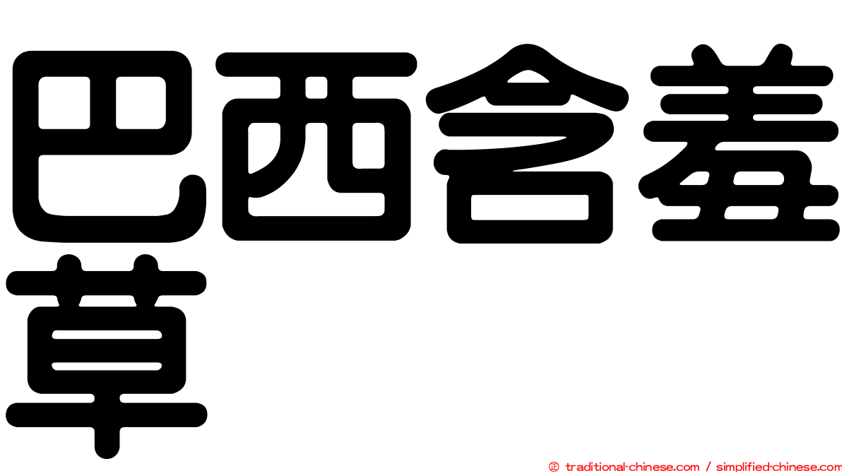 巴西含羞草