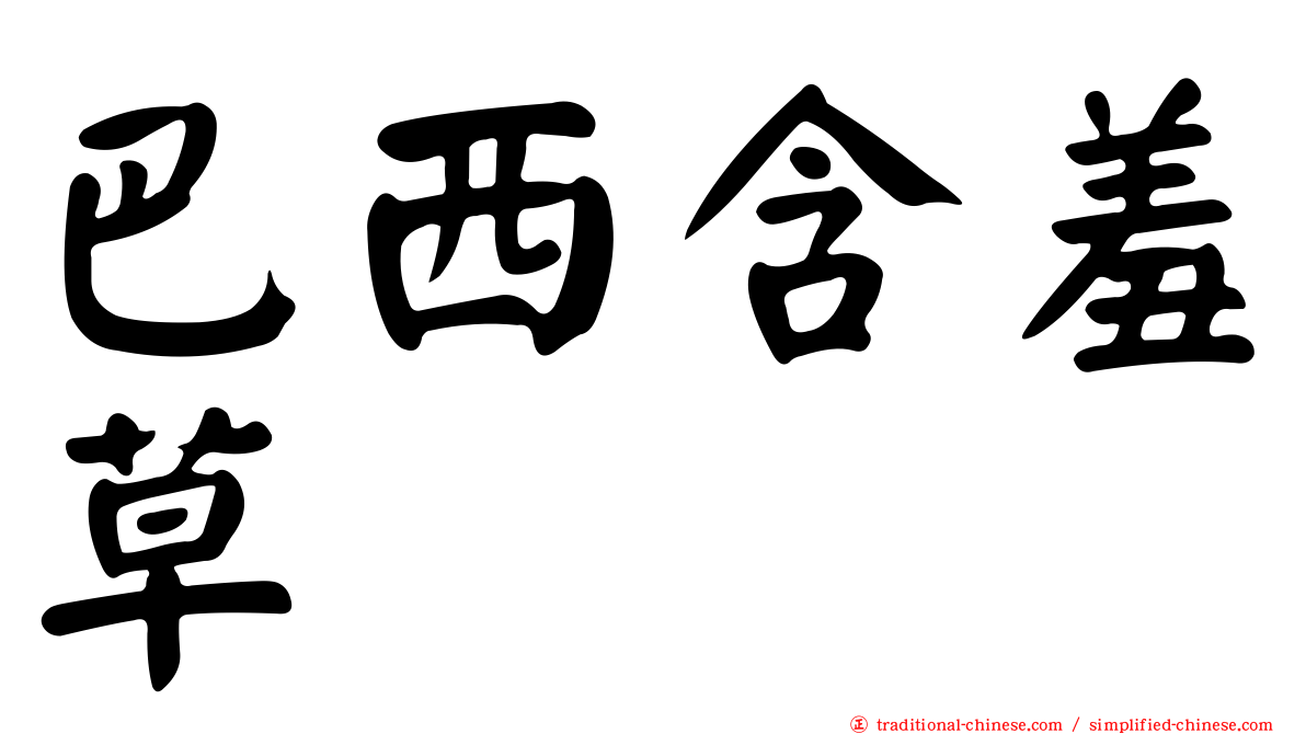 巴西含羞草