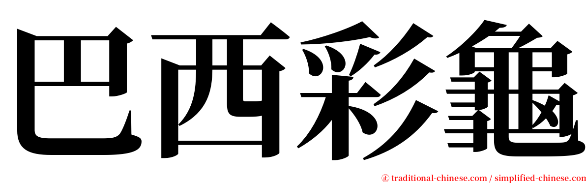 巴西彩龜 serif font