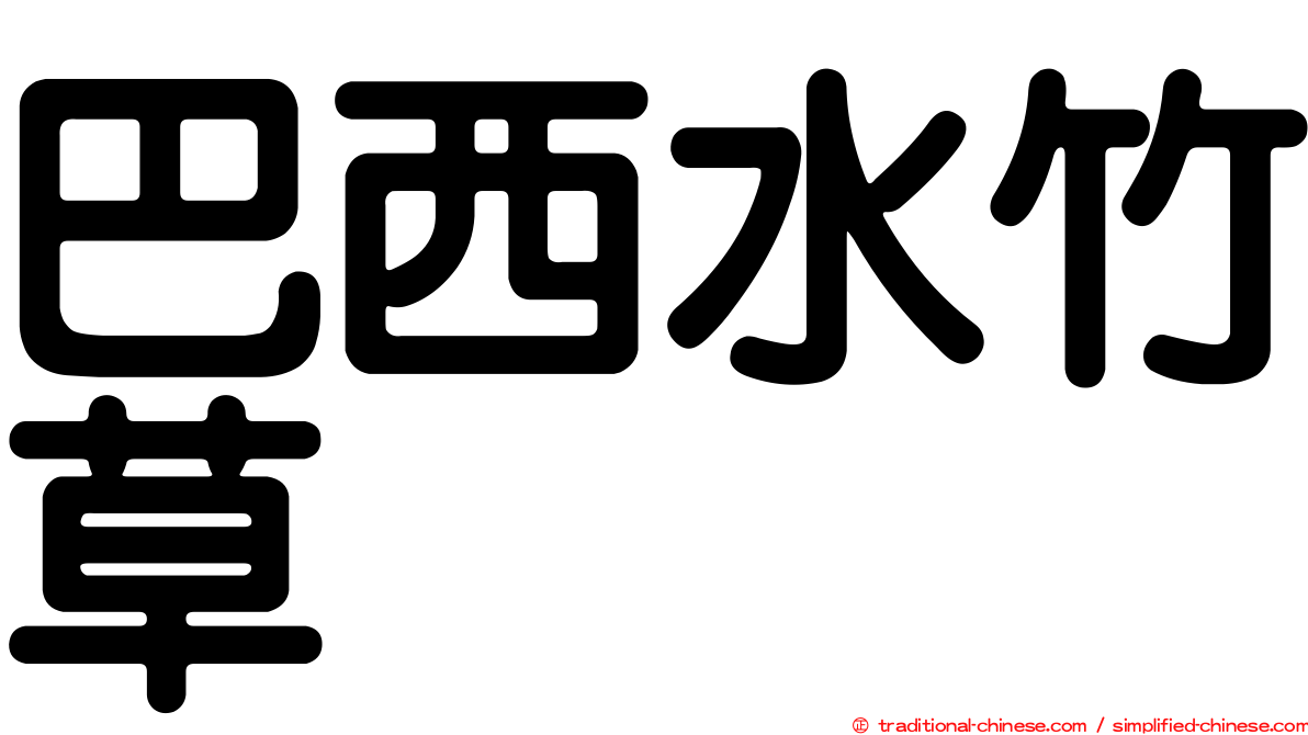 巴西水竹草