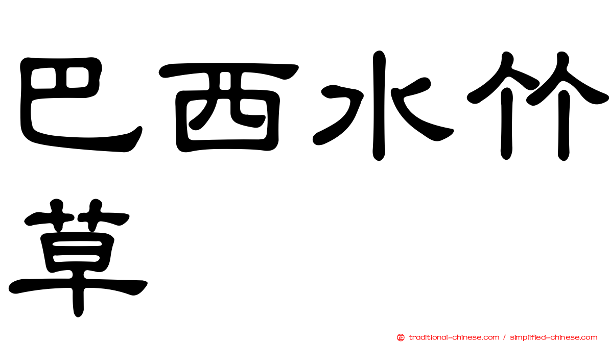 巴西水竹草