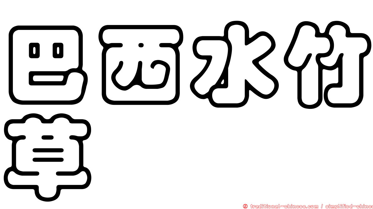 巴西水竹草
