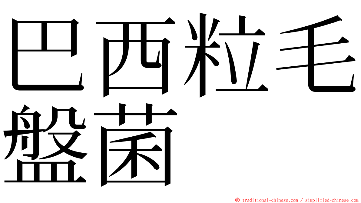 巴西粒毛盤菌 ming font