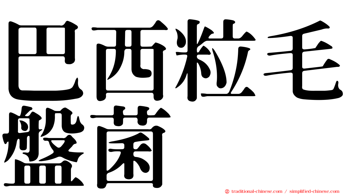 巴西粒毛盤菌