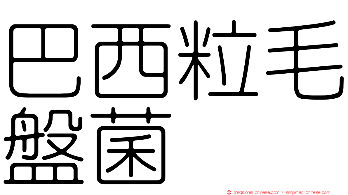 巴西粒毛盤菌