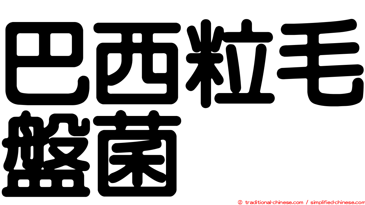 巴西粒毛盤菌