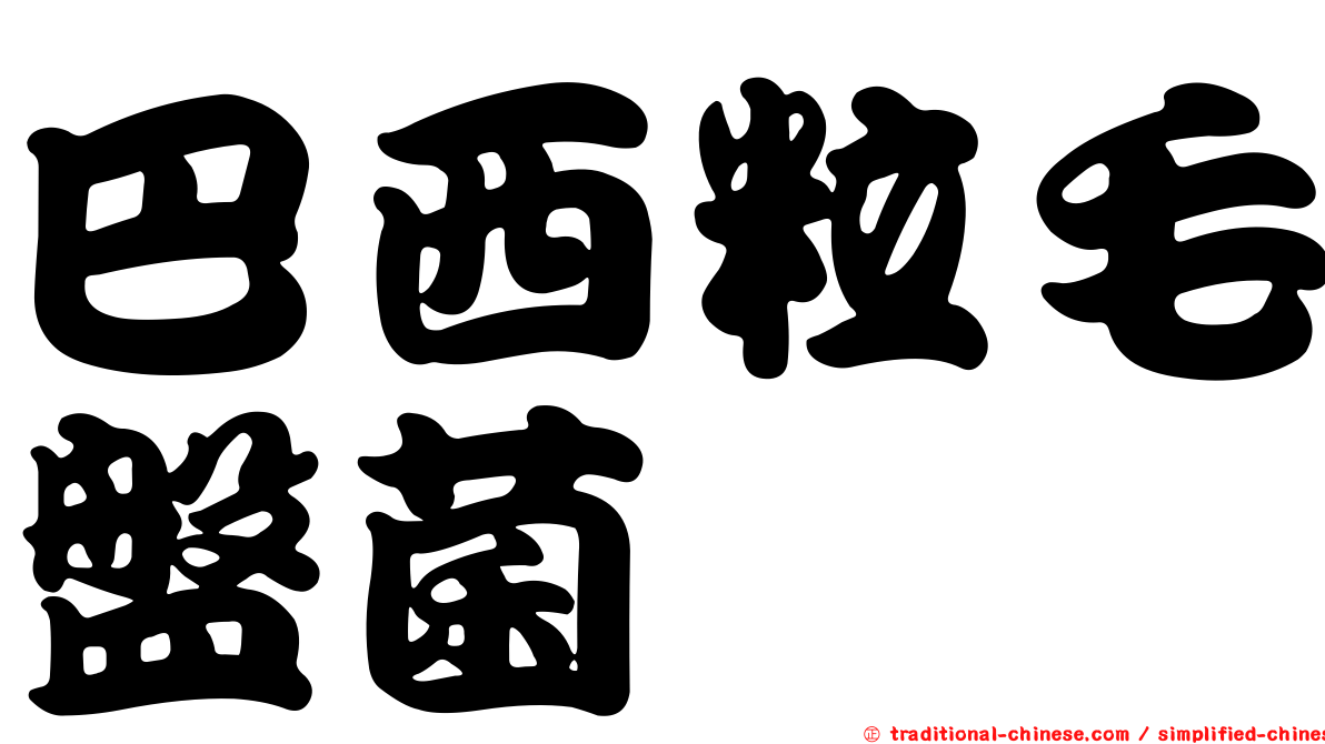 巴西粒毛盤菌