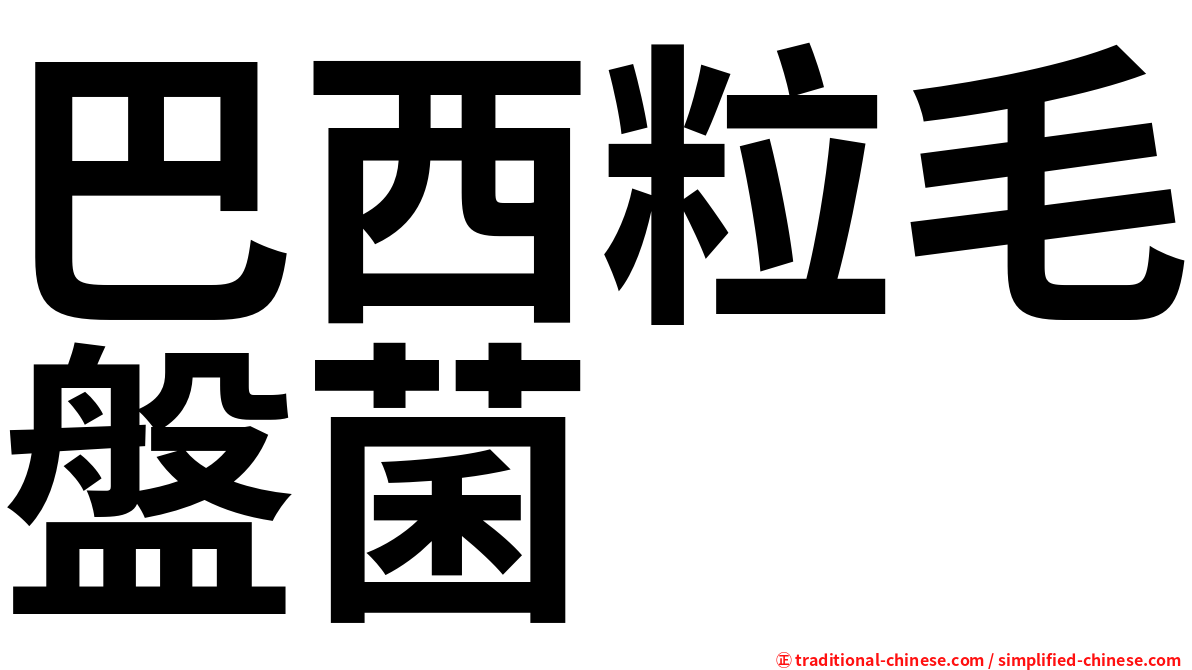 巴西粒毛盤菌