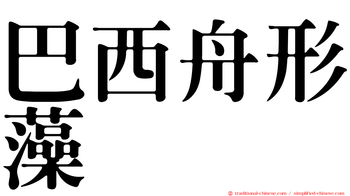 巴西舟形藻