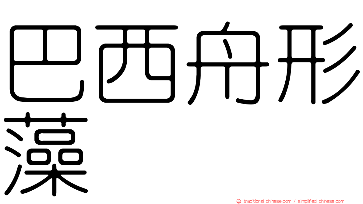 巴西舟形藻