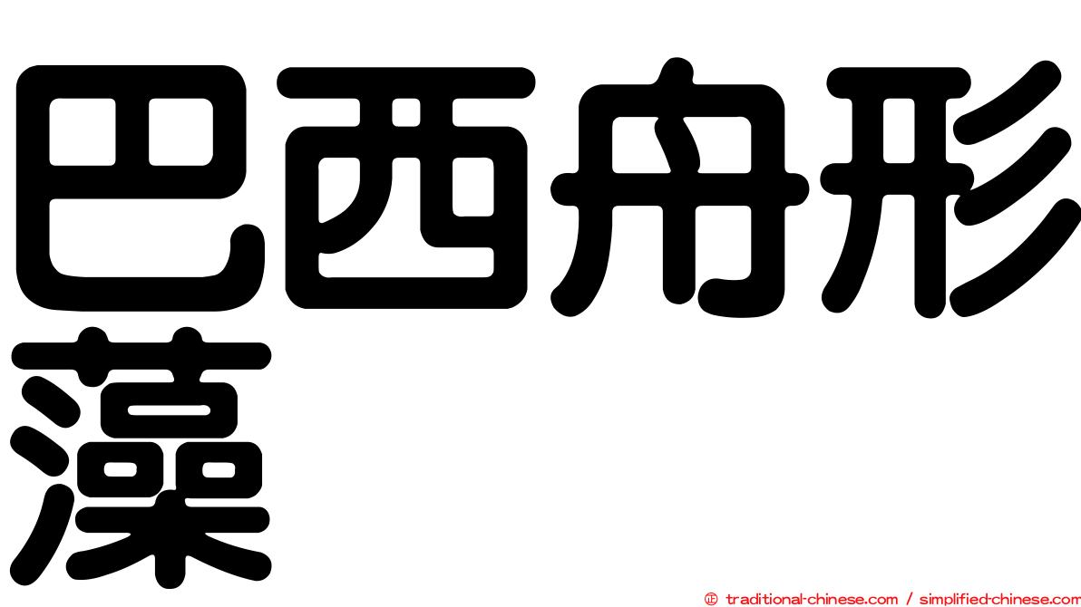 巴西舟形藻