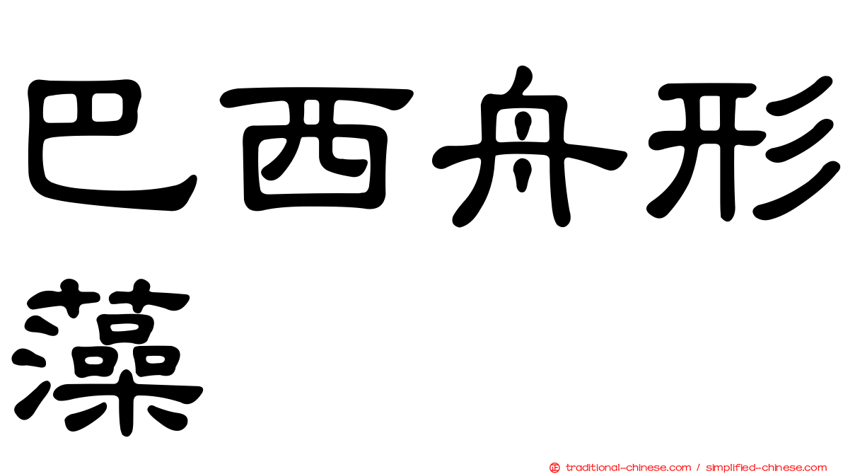 巴西舟形藻