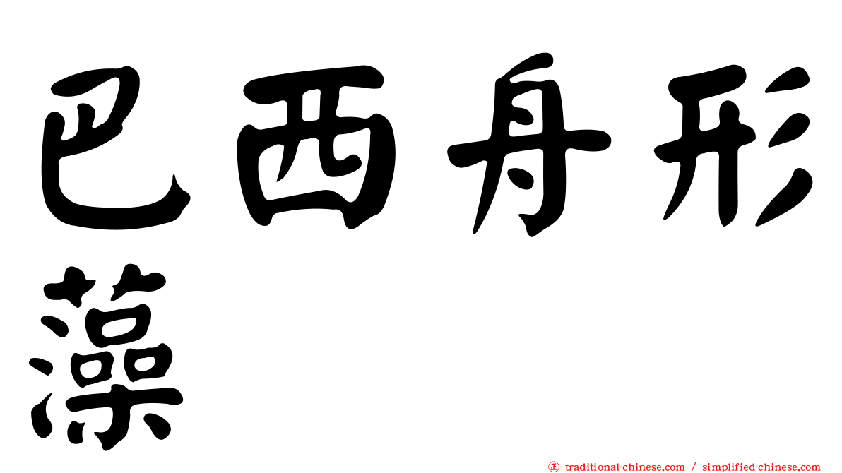 巴西舟形藻