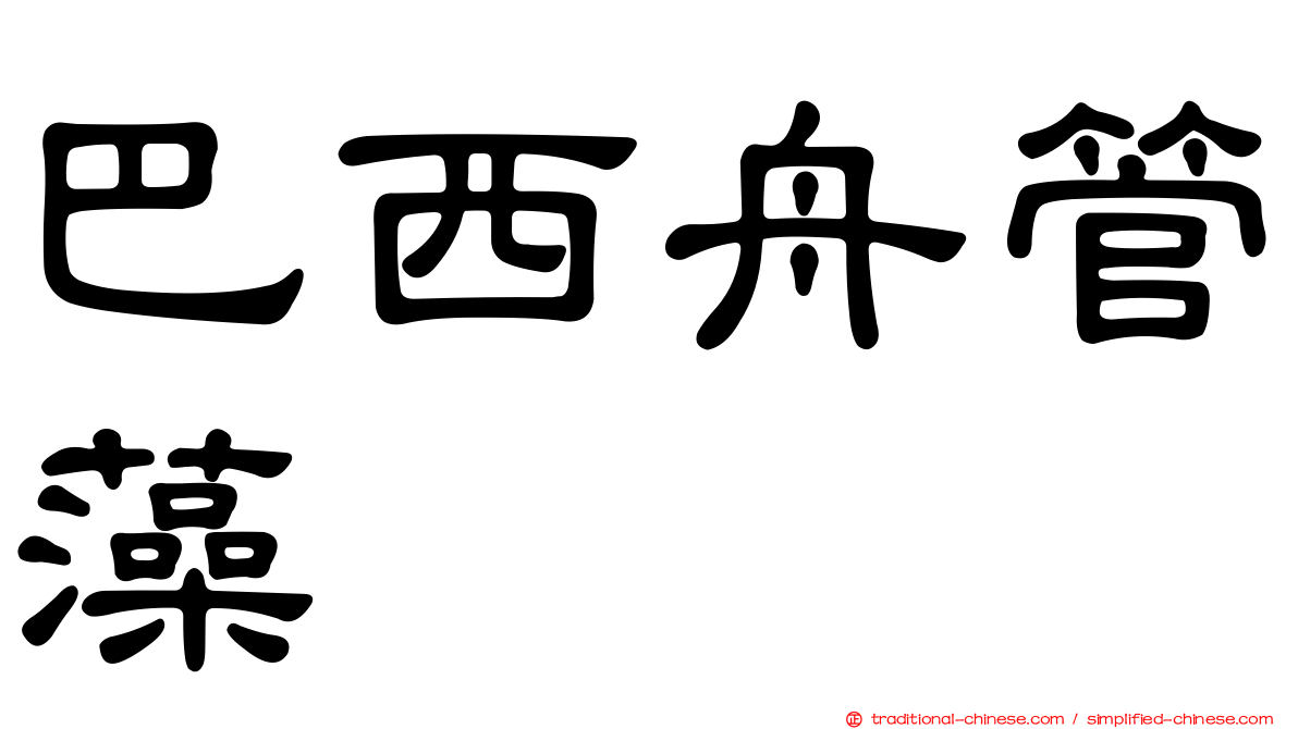 巴西舟管藻